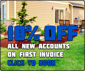 banner300x250.png