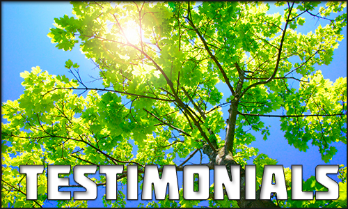500x300_insetVault2018_testimonials.png